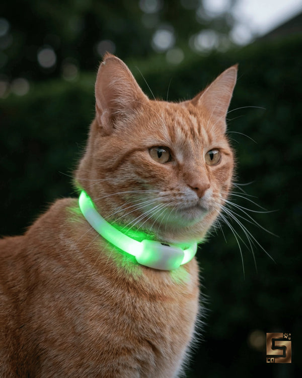 SAFETY GLOW