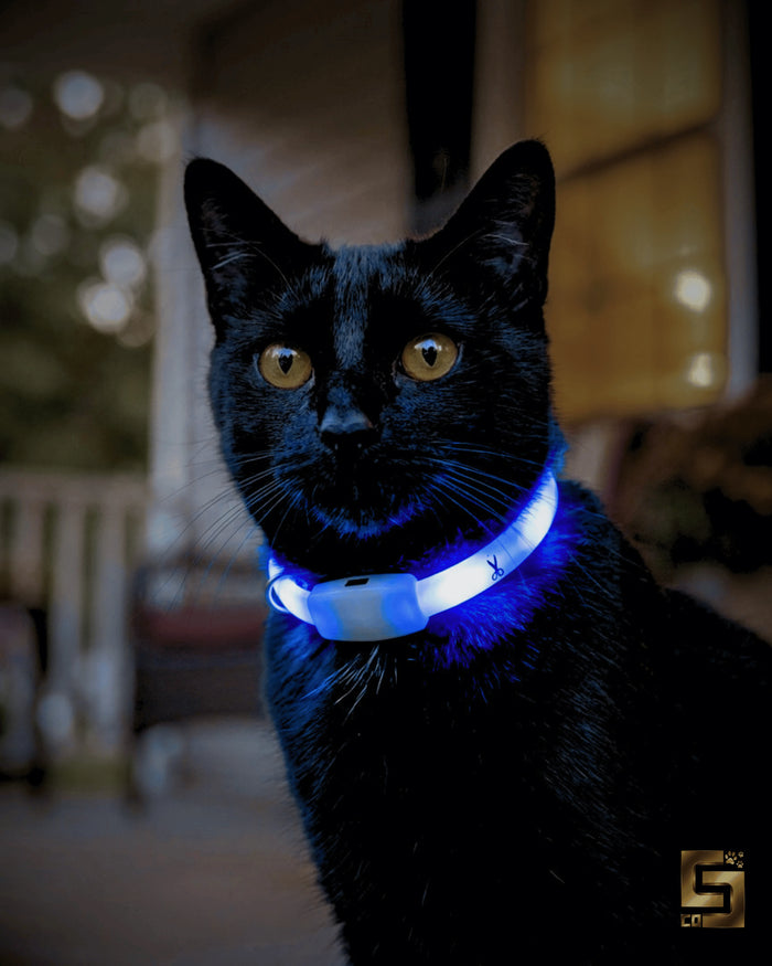 Chydee LED Safety Collar for Cats