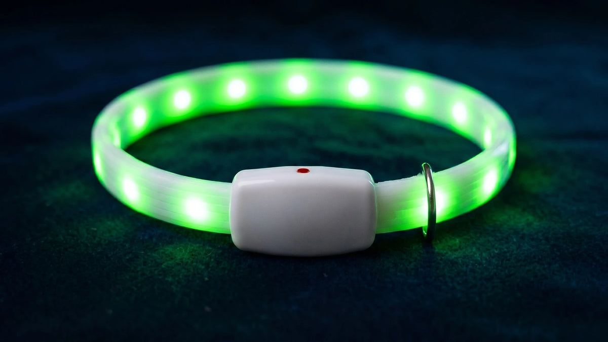 Chydee LED Safety Collar — materials