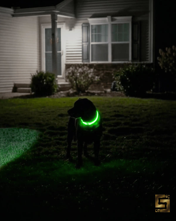 SEEN AT NIGHT