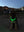Dogs wearing LED safety collars before sunrise