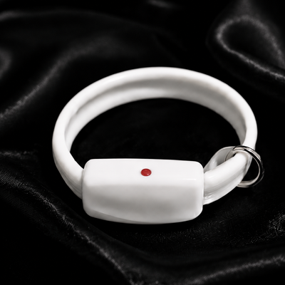 Chydee LED Pet Safety Collar