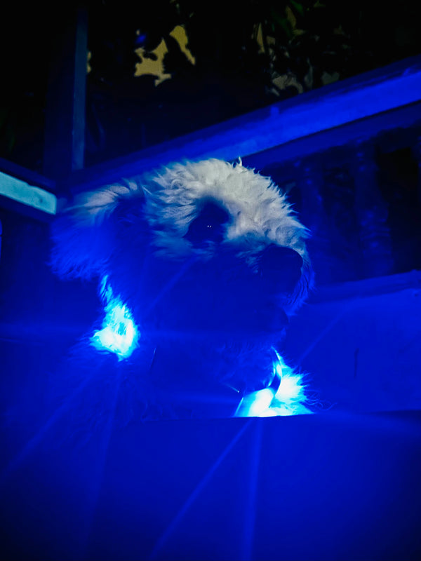 GLOW & PROTECT