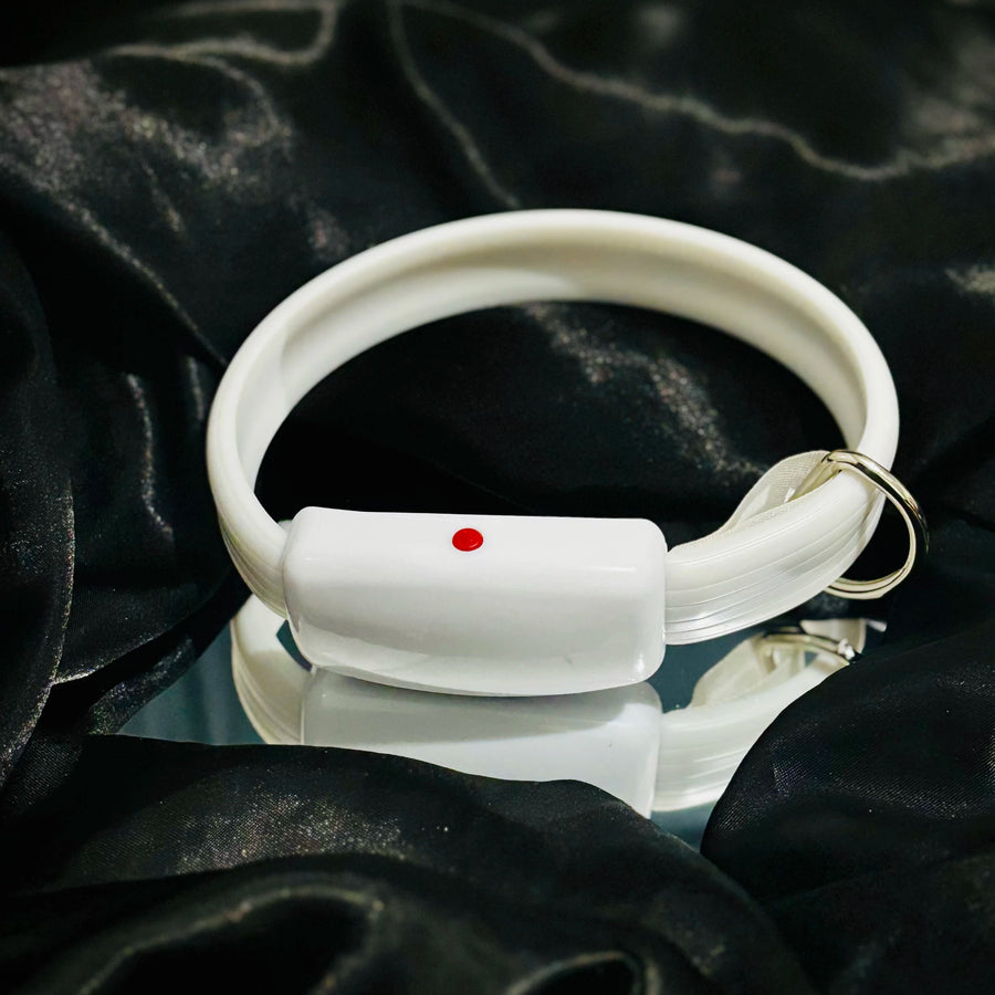 Chydee LED Safety Collar