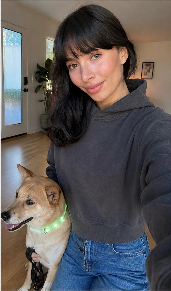 MADE FOR PETS